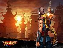 Achievements and Trophies for Shadow Blade: Reload