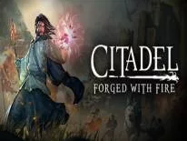 Citadel: Forged With Fire: PC Trainer (12474-2): Multiplier of XP Points, Damage and Armor