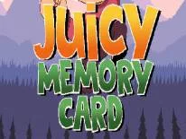 Achievements and Trophies for Juicy Memory Card
