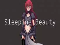 Cheats for Sleeping Beauty on PC