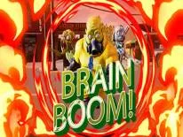 Cheats for Brain Boom on PC