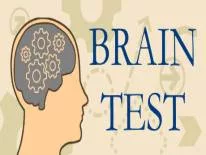 Cheats for Brain Test on PC