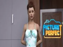 Cheats for Picture Perfect v0.8 on PC