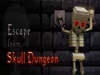 Cheats for Escape from Skull Dungeon on PC