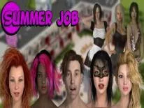 Cheats for Summer Job on PC
