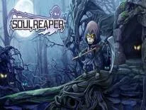 Achievements and Trophies for Soul Reaper