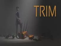 Achievements and Trophies for TRIM