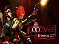 Cheats for BloodRayne: Terminal Cut on PC