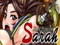 Cheats for Slave Princess Sarah on PC
