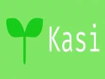 Achievements and Trophies for Kasi