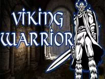 Cheats for Viking Warrior on PC