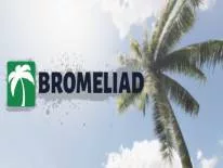 Cheats for Bromeliad on PC