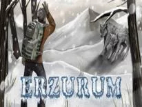 Cheats for Erzurum on PC