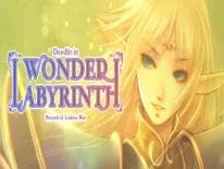 Cheats for Record of Lodoss War-Deedlit in Wonder Labyrinth- on PC