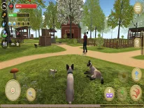 Cheats for Cat Simulator 2020 on Android e iPhone