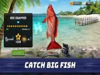 Cheats for Fishing Clash on Android e iPhone