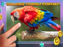 Cheats for Puzzle definitivi on Android e iPhone