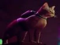 Achievements and Trophies for Stray