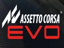 Assetto Corsa EVO: PC Trainer (V 0.1.5): Confused ai drivers and game speed
