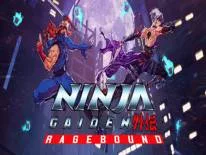 Ninja Gaiden: Ragebound: PC Trainer (cs36158): Mega kills combo count and freeze mission time